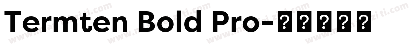 Termten Bold Pro字体转换